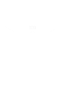 https://s3.us-west-1.wasabisys.com/ecart-content/cargeektees.com/overlays/179/235/17923527.png img