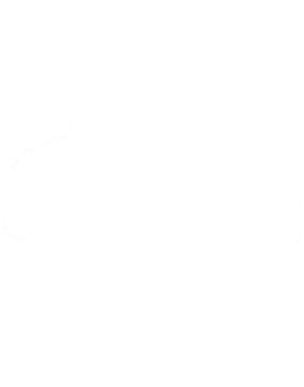 https://s3.us-west-1.wasabisys.com/ecart-content/cargeektees.com/overlays/180/028/1800287.png img