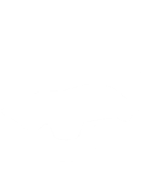 https://s3.us-west-1.wasabisys.com/ecart-content/cargeektees.com/overlays/180/955/1809551.png img