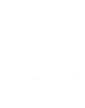 https://s3.us-west-1.wasabisys.com/ecart-content/cargeektees.com/overlays/180/986/1809866.png img