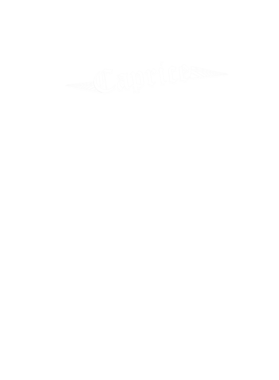 https://s3.us-west-1.wasabisys.com/ecart-content/cargeektees.com/overlays/184/270/18427004.png img