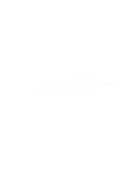 https://s3.us-west-1.wasabisys.com/ecart-content/cargeektees.com/overlays/184/280/18428007.png img