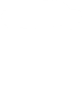 https://s3.us-west-1.wasabisys.com/ecart-content/cargeektees.com/overlays/184/588/18458812.png img