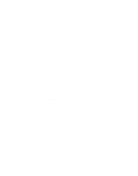 https://s3.us-west-1.wasabisys.com/ecart-content/cargeektees.com/overlays/187/090/1870905.png img