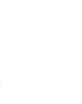 https://s3.us-west-1.wasabisys.com/ecart-content/cargeektees.com/overlays/187/231/1872311.png img