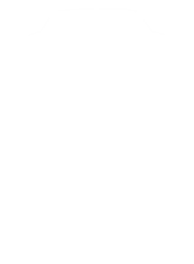 https://s3.us-west-1.wasabisys.com/ecart-content/cargeektees.com/overlays/192/089/19208908.png img
