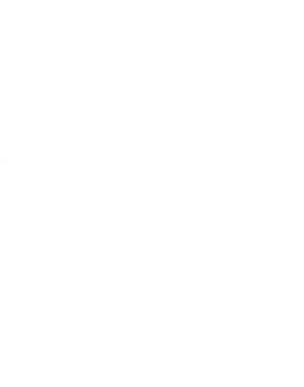 https://s3.us-west-1.wasabisys.com/ecart-content/cargeektees.com/overlays/192/391/1923919.png img