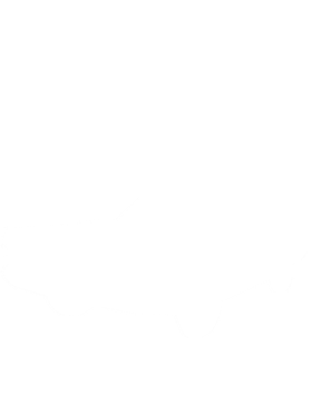 https://s3.us-west-1.wasabisys.com/ecart-content/cargeektees.com/overlays/192/392/1923922.png img