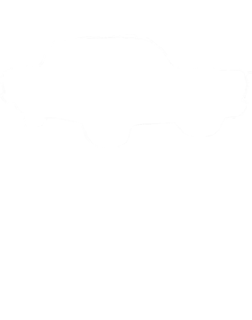 https://s3.us-west-1.wasabisys.com/ecart-content/cargeektees.com/overlays/192/393/1923931.png img