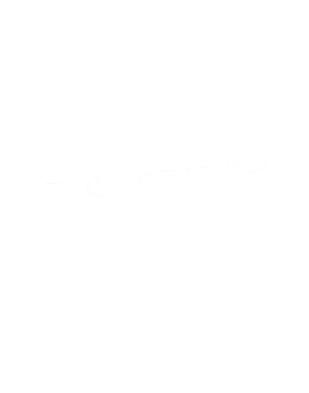 https://s3.us-west-1.wasabisys.com/ecart-content/cargeektees.com/overlays/192/394/1923944.png img