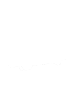 https://s3.us-west-1.wasabisys.com/ecart-content/cargeektees.com/overlays/192/394/1923946.png img