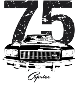 https://s3.us-west-1.wasabisys.com/ecart-content/cargeektees.com/overlays/192/854/19285432.png img