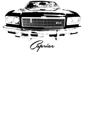https://s3.us-west-1.wasabisys.com/ecart-content/cargeektees.com/overlays/192/854/19285435.png img