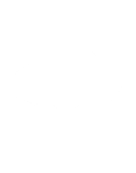 https://s3.us-west-1.wasabisys.com/ecart-content/cargeektees.com/overlays/192/921/1929213.png img