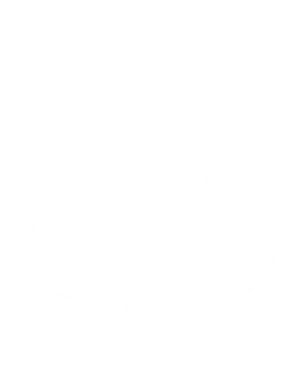 https://s3.us-west-1.wasabisys.com/ecart-content/cargeektees.com/overlays/192/923/1929232.png img