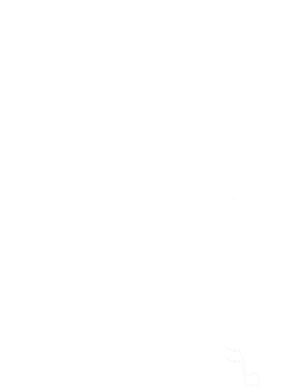 https://s3.us-west-1.wasabisys.com/ecart-content/cargeektees.com/overlays/192/953/1929535.png img