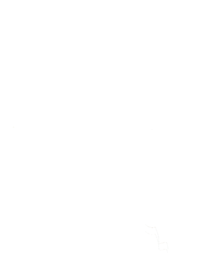 https://s3.us-west-1.wasabisys.com/ecart-content/cargeektees.com/overlays/192/956/1929563.png img