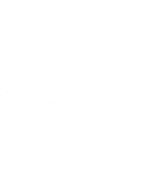 https://s3.us-west-1.wasabisys.com/ecart-content/cargeektees.com/overlays/210/970/2109703.png img