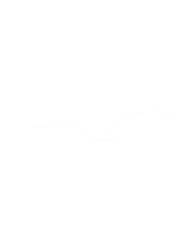 https://s3.us-west-1.wasabisys.com/ecart-content/cargeektees.com/overlays/210/971/2109719.png img