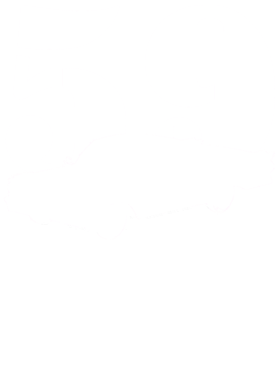 https://s3.us-west-1.wasabisys.com/ecart-content/cargeektees.com/overlays/215/332/21533236.png img