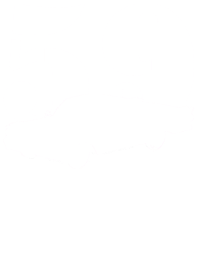 https://s3.us-west-1.wasabisys.com/ecart-content/cargeektees.com/overlays/215/332/21533237.png img