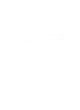 https://s3.us-west-1.wasabisys.com/ecart-content/cargeektees.com/overlays/215/332/21533286.png img