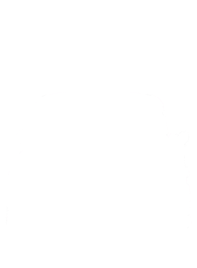 https://s3.us-west-1.wasabisys.com/ecart-content/cargeektees.com/overlays/218/521/21852190.png img