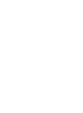 https://s3.us-west-1.wasabisys.com/ecart-content/cargeektees.com/overlays/218/522/21852203.png img