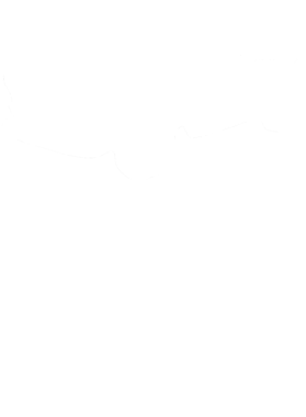 https://s3.us-west-1.wasabisys.com/ecart-content/cargeektees.com/overlays/218/523/21852315.png img