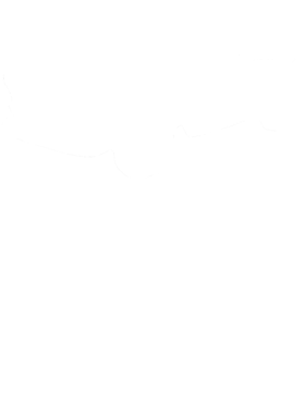 https://s3.us-west-1.wasabisys.com/ecart-content/cargeektees.com/overlays/218/523/21852325.png img