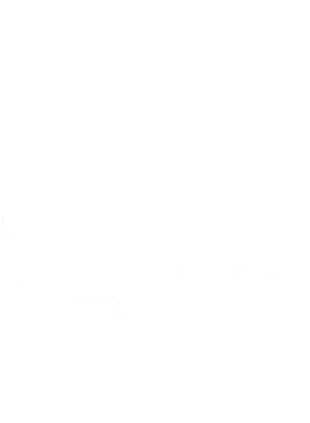 https://s3.us-west-1.wasabisys.com/ecart-content/cargeektees.com/overlays/218/523/21852342.png img