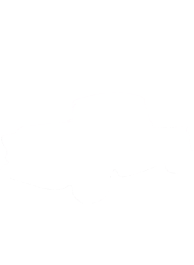 https://s3.us-west-1.wasabisys.com/ecart-content/cargeektees.com/overlays/218/523/21852353.png img