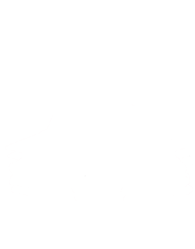https://s3.us-west-1.wasabisys.com/ecart-content/cargeektees.com/overlays/220/388/2203887.png img