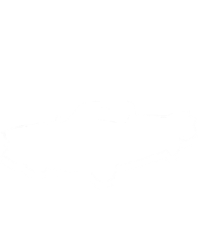 https://s3.us-west-1.wasabisys.com/ecart-content/cargeektees.com/overlays/220/390/2203901.png img
