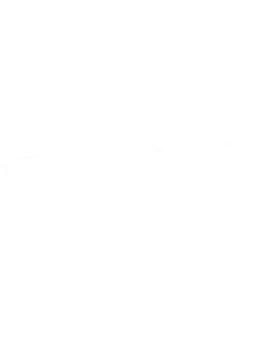 https://s3.us-west-1.wasabisys.com/ecart-content/cargeektees.com/overlays/220/390/2203905.png img