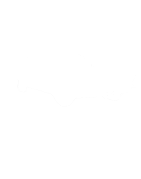 https://s3.us-west-1.wasabisys.com/ecart-content/cargeektees.com/overlays/220/704/2207041.png img