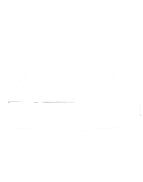 https://s3.us-west-1.wasabisys.com/ecart-content/cargeektees.com/overlays/220/755/2207552.png img