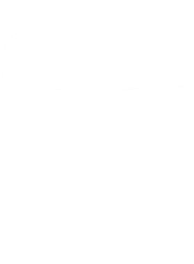 https://s3.us-west-1.wasabisys.com/ecart-content/cargeektees.com/overlays/221/335/22133551.png img