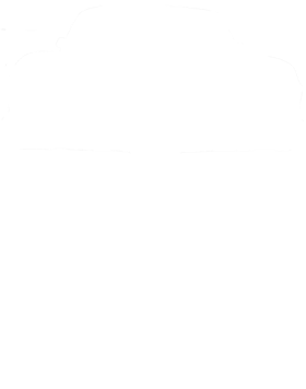 https://s3.us-west-1.wasabisys.com/ecart-content/cargeektees.com/overlays/223/375/22337596.png img