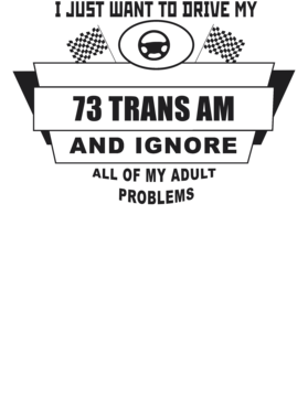 https://s3.us-west-1.wasabisys.com/ecart-content/cargeektees.com/overlays/224/270/22427082.png img