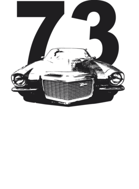 https://s3.us-west-1.wasabisys.com/ecart-content/cargeektees.com/overlays/225/425/22542551.png img
