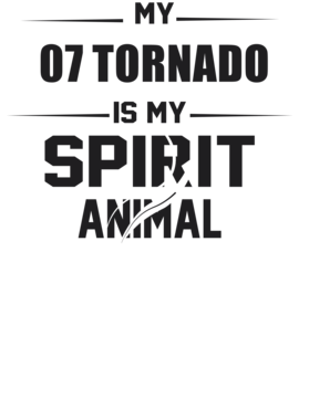 https://s3.us-west-1.wasabisys.com/ecart-content/cargeektees.com/overlays/226/369/22636947.png img