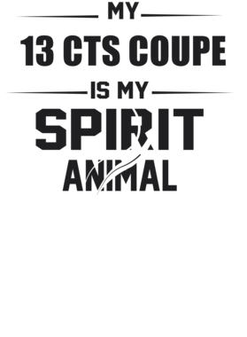 https://s3.us-west-1.wasabisys.com/ecart-content/cargeektees.com/overlays/226/381/22638191.png img