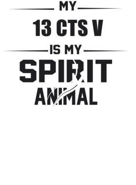https://s3.us-west-1.wasabisys.com/ecart-content/cargeektees.com/overlays/226/381/22638193.png img