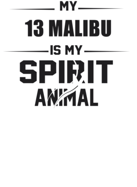 https://s3.us-west-1.wasabisys.com/ecart-content/cargeektees.com/overlays/226/382/22638238.png img
