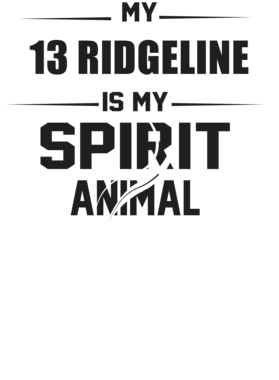 https://s3.us-west-1.wasabisys.com/ecart-content/cargeektees.com/overlays/226/382/22638265.png img