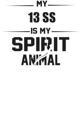 https://s3.us-west-1.wasabisys.com/ecart-content/cargeektees.com/overlays/226/382/22638273.png img