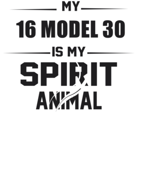 https://s3.us-west-1.wasabisys.com/ecart-content/cargeektees.com/overlays/226/384/22638462.png img