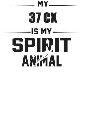 https://s3.us-west-1.wasabisys.com/ecart-content/cargeektees.com/overlays/226/387/22638767.png img