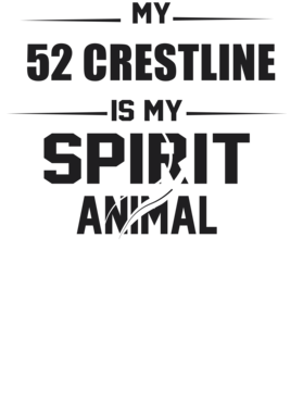 https://s3.us-west-1.wasabisys.com/ecart-content/cargeektees.com/overlays/226/392/22639245.png img